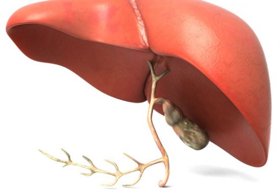 Six Signs from Your Liver to Change Your Lifestyle Immediately