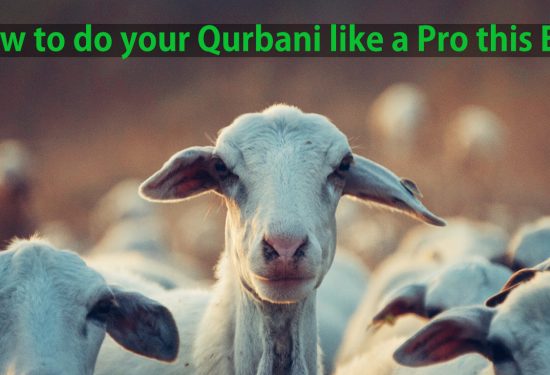 How to do your Qurbani like a Pro this Eid!